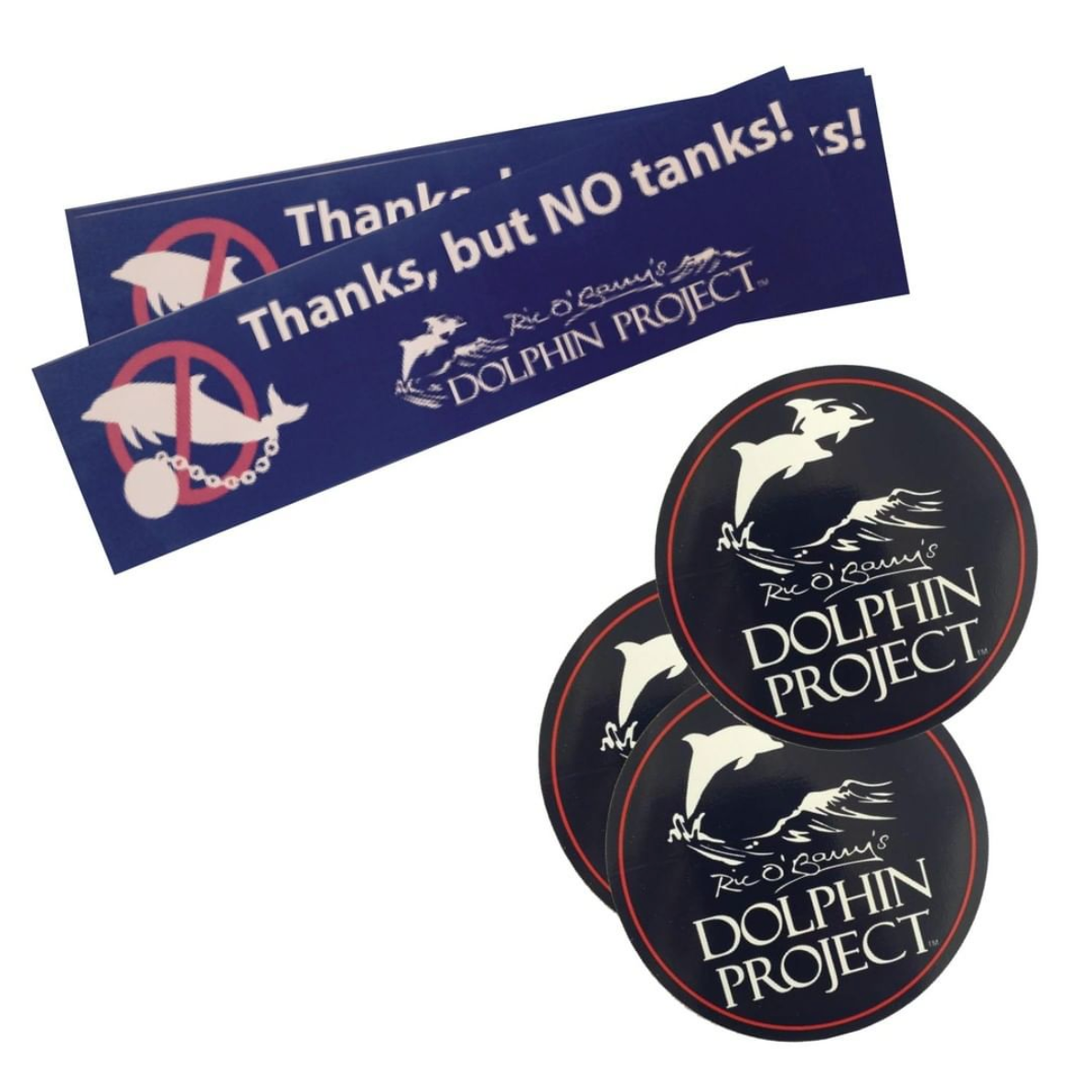 Dolphin Project Rough Toothed Dolphin Decal