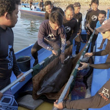 Load image into Gallery viewer, dolphin rescue support boat fuel