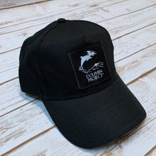 Load image into Gallery viewer, Dolphin Project Black Brushed Cotton Cap with Square Black Patch