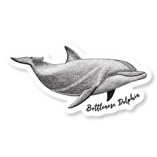 Load image into Gallery viewer, Taiji Dolphin Species Decal Bundle