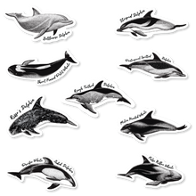 Load image into Gallery viewer, Taiji Dolphin Species Decal Bundle
