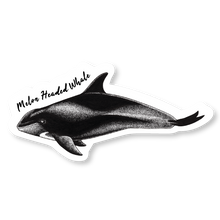 Load image into Gallery viewer, Taiji Dolphin Species Decal Bundle