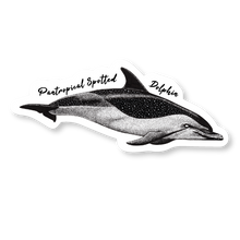 Load image into Gallery viewer, Taiji Dolphin Species Decal Bundle