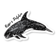 Load image into Gallery viewer, Taiji Dolphin Species Decal Bundle