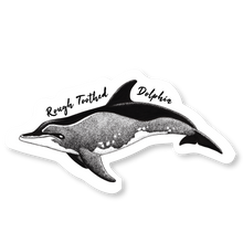 Load image into Gallery viewer, Taiji Dolphin Species Decal Bundle