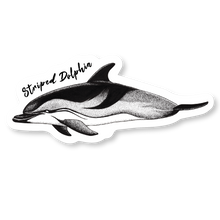 Load image into Gallery viewer, Taiji Dolphin Species Decal Bundle