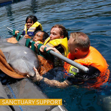 Load image into Gallery viewer, life jackets for dolphin rescue team