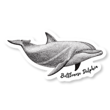 Load image into Gallery viewer, Taiji Dolphin Species Decal Bundle
