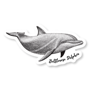 Taiji Dolphin Species Decal Bundle