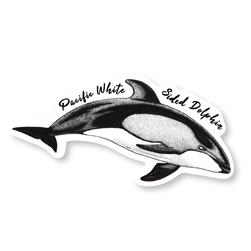 Pacific White Sided Dolphin Die Cut Decal