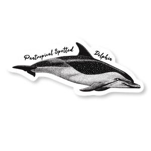 Pantropical Spotted Dolphin Die Cut Decal