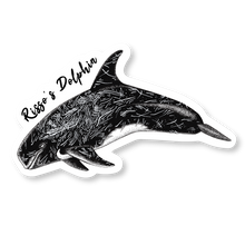 Load image into Gallery viewer, Taiji Dolphin Species Decal Bundle

