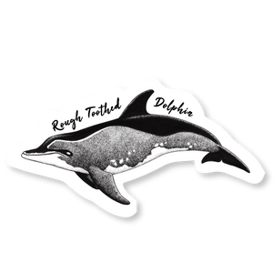 Rough Toothed Dolphin Die Cut Decal