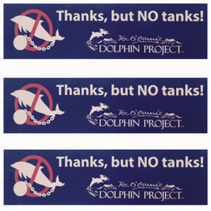 dolphin captivity bumper sticker