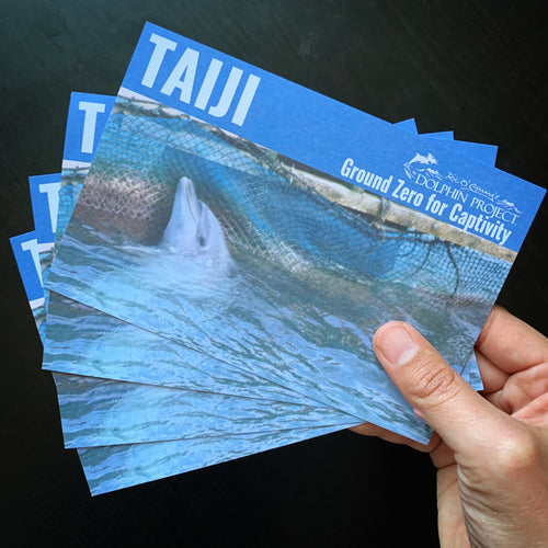 Taiji Ground Zero for Captivity Informational postcard dolphin project