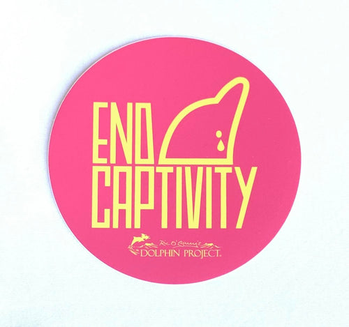 end dolphin captivity pink and yellow sticker