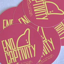 Load image into Gallery viewer, end dolphin captivity pink decal
